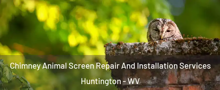  Chimney Animal Screen Repair And Installation Services Huntington - WV