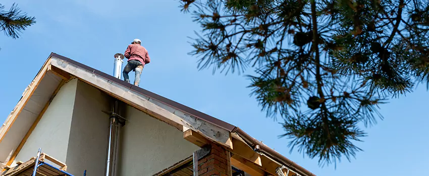 Birds Removal Contractors from Chimney in Huntington, WV